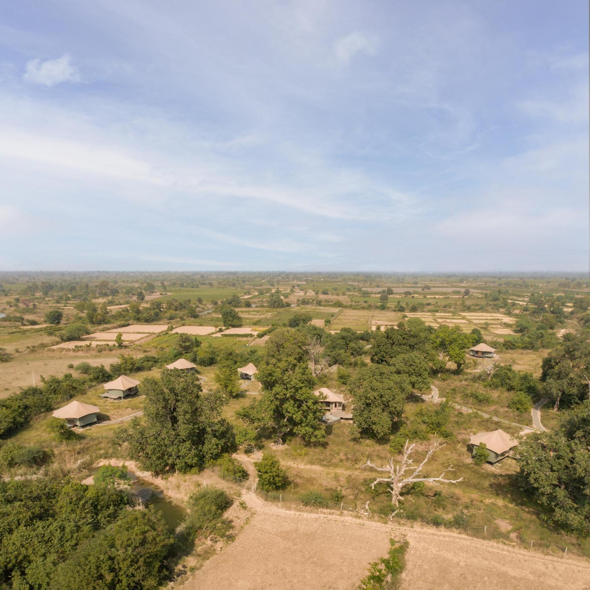 Trees N Tigers, Tadoba Hotel Kolāra Buitenkant foto